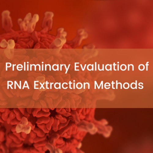 Preliminary Evaluation of RNA Extraction Methods