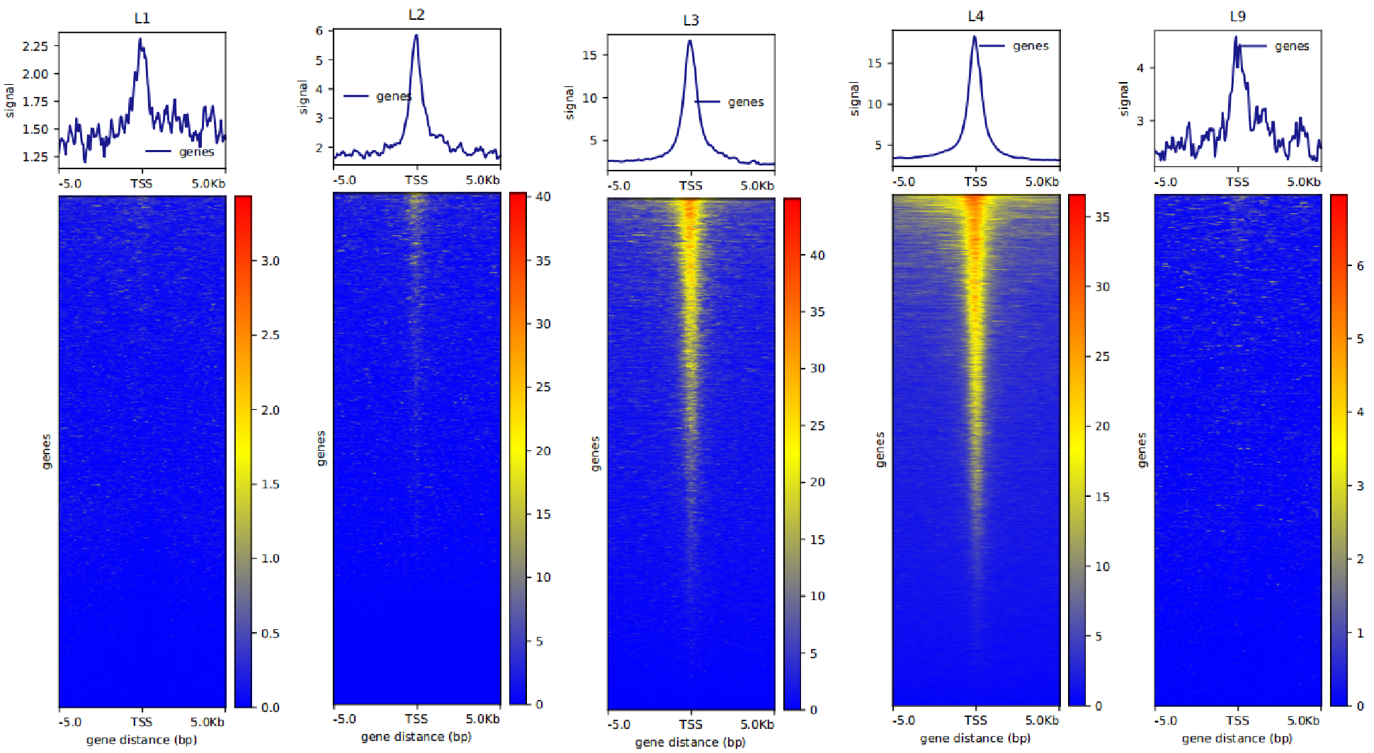 Comment on Step 70 of Bench top CUT&Tag