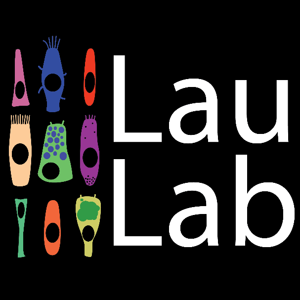 Lau Lab - research workspace on protocols.io