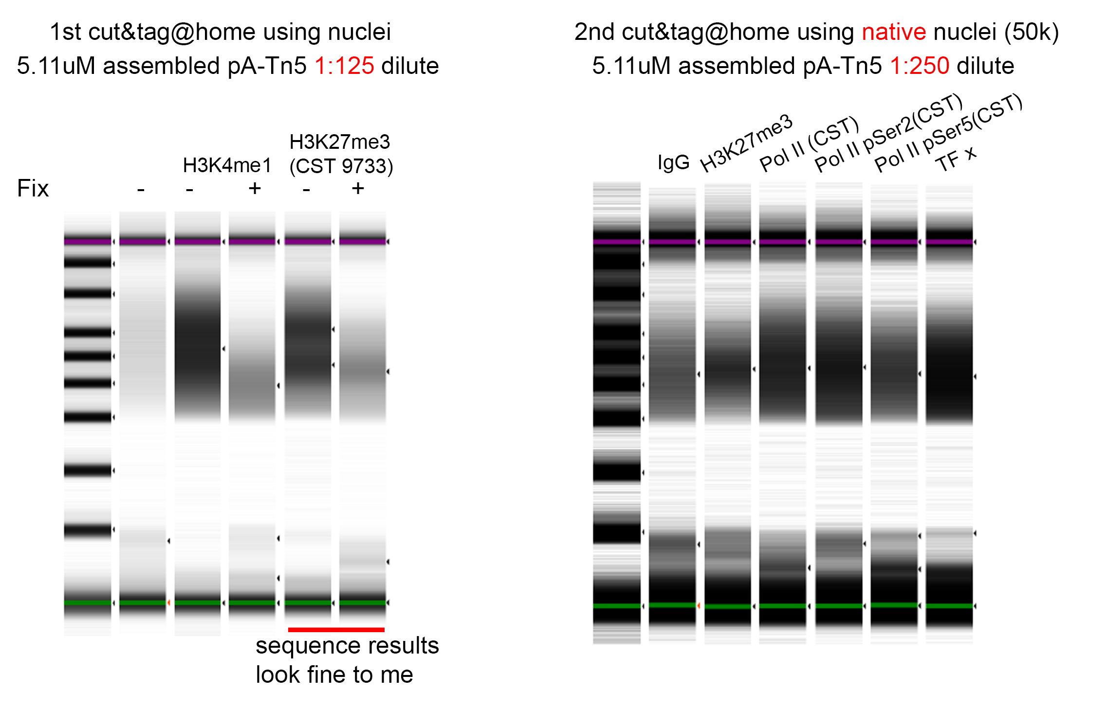 Discussion of CUT&Tagdirect with CUTAC