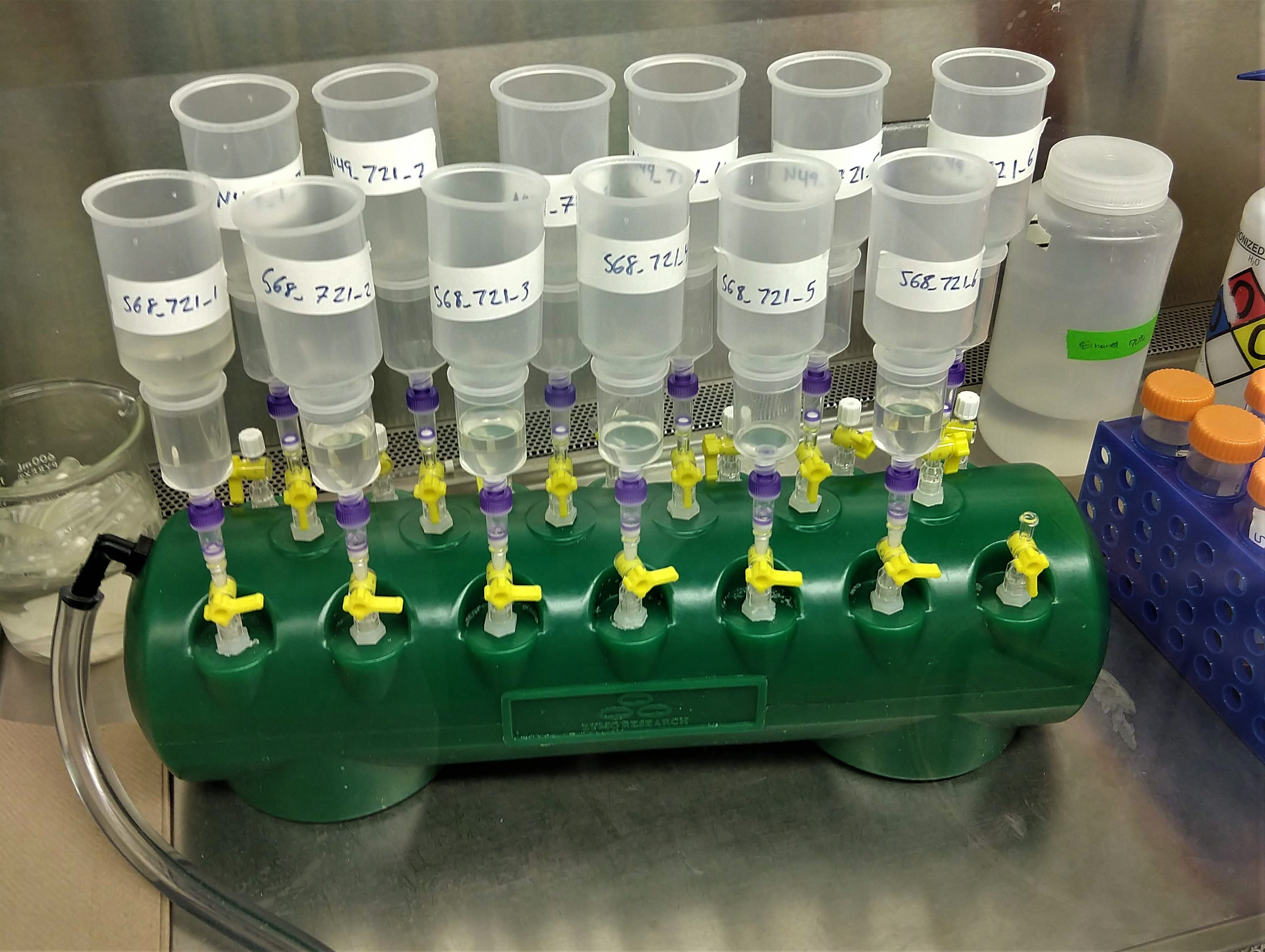 Direct wastewater RNA capture and purification via the "Sewage, Salt