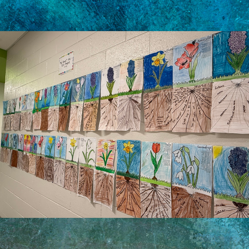 A hallway wall displays a long row of student artwork featuring colorful drawings of flowers and their root systems.