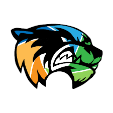 A colorful mascot with a fierce expression, featuring a black and white head with green, blue, and orange stripes.