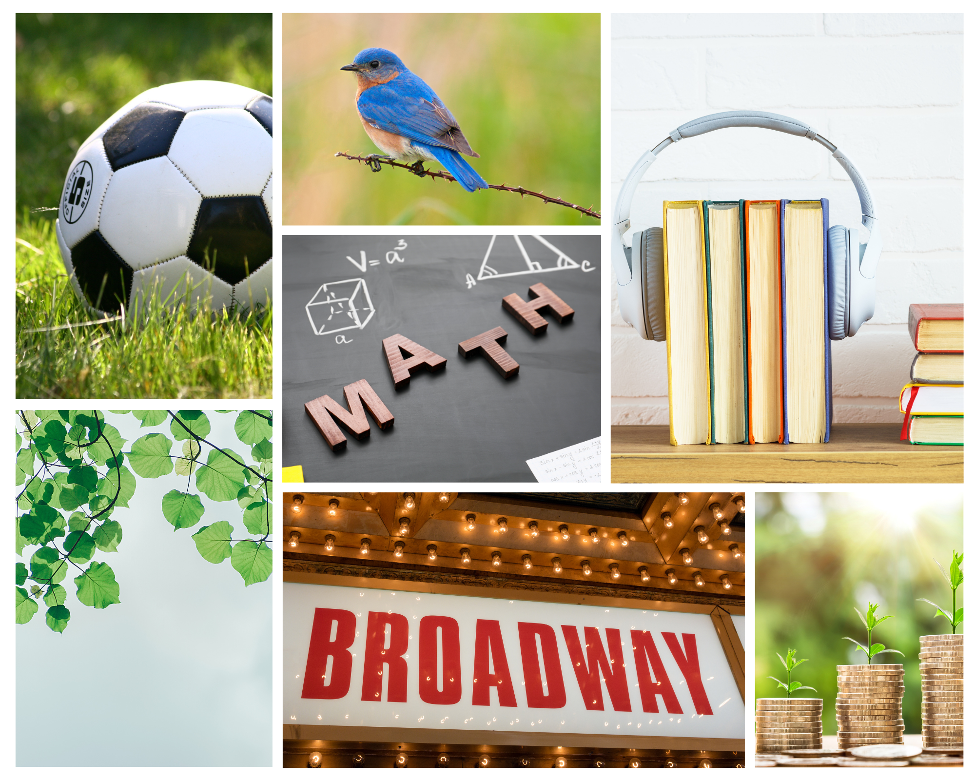 Collage of images showing the grants (soccer, bird, audio books, nature area, Broadway, and economics)