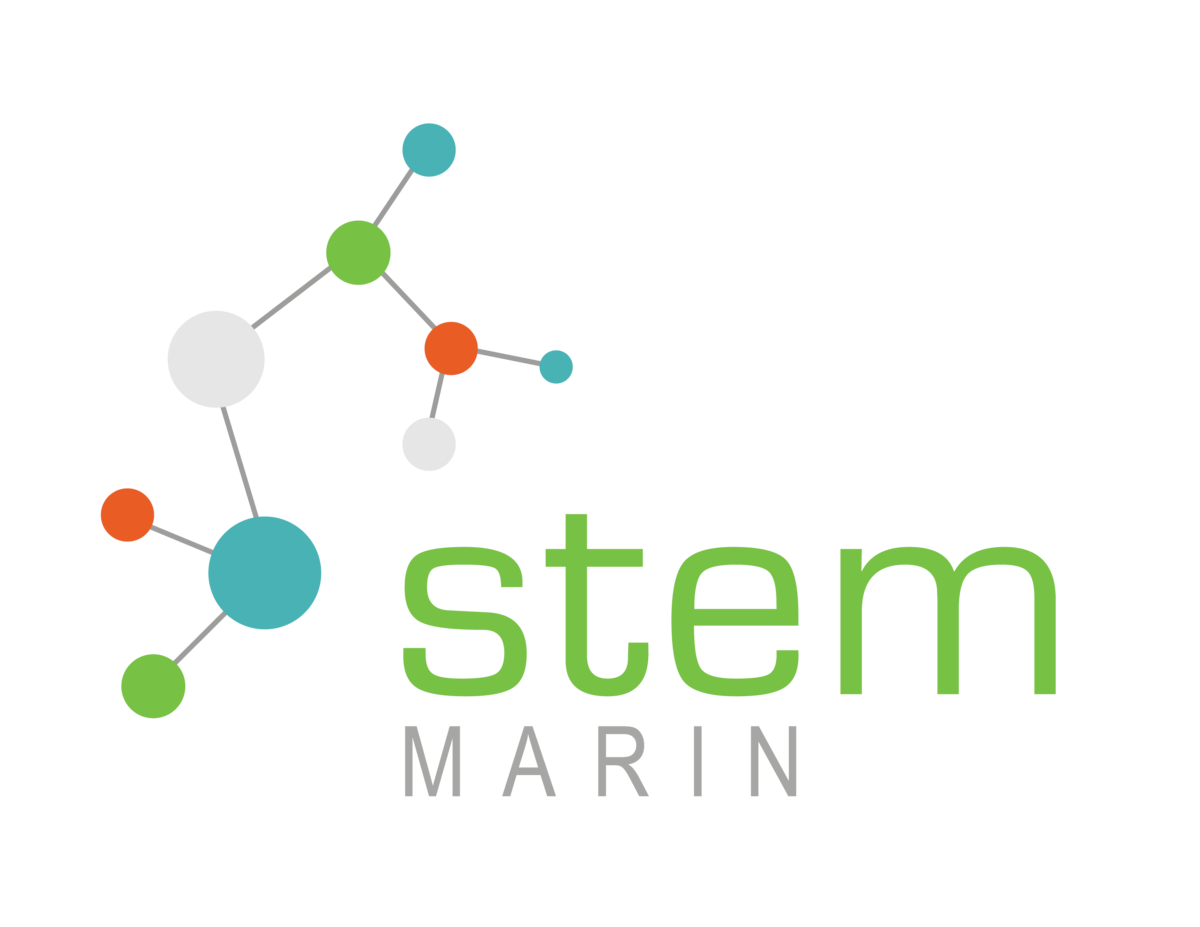 STEM Logo