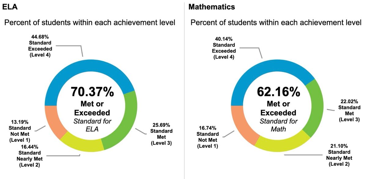 A comparison of a pie chartDescription automatically generated