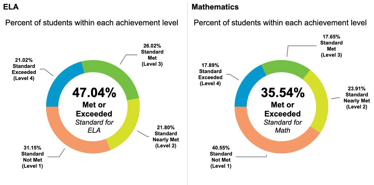 A comparison of a pie chartDescription automatically generated