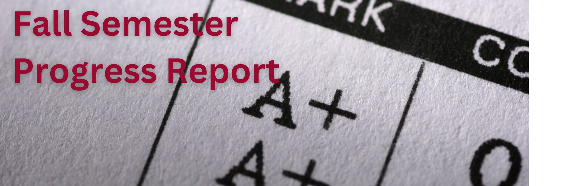 Fall Semester Progress Report