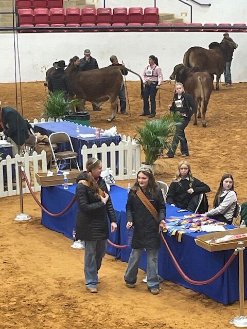 Students at Ft Worth Stock Show