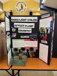 Image of Science Fair project.