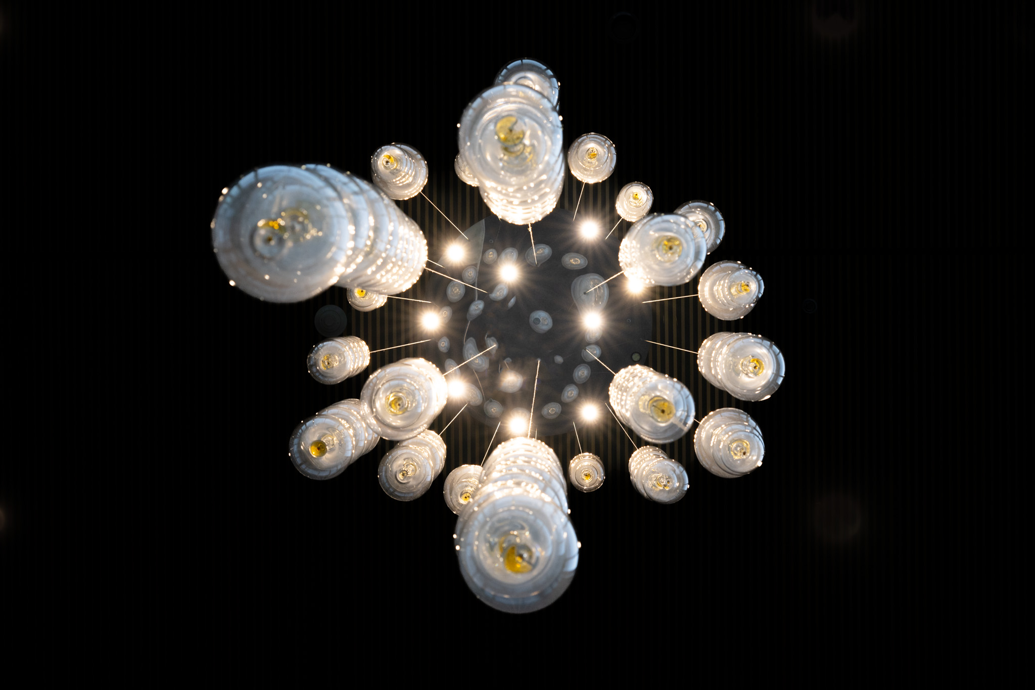  student photography photo 