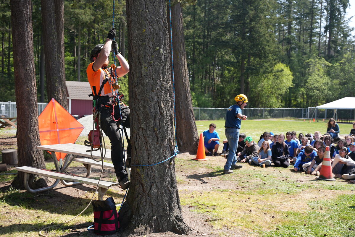 tree climber demonstration in front of students
