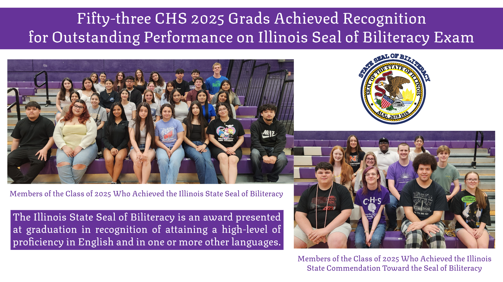 Group photo of high school graduates who achieved the Illinois Seal of Biliteracy.