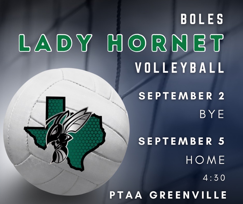 A volleyball with a Texas-shaped hornet logo is featured in a sports graphic.