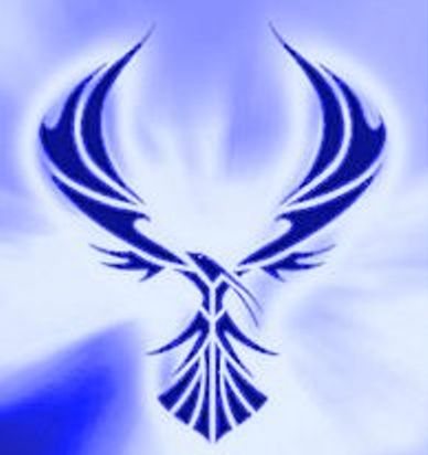 Discovery Bulletin 6-8-2026