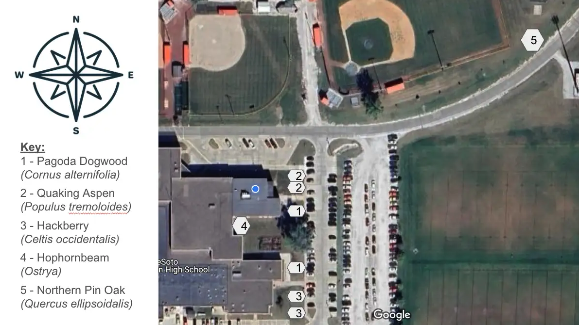 An aerial view of a school campus with a baseball field, parking lots, and labeled trees.