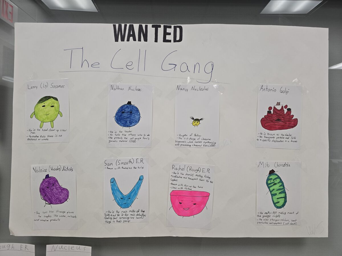 Cell Gang Wanted Poster