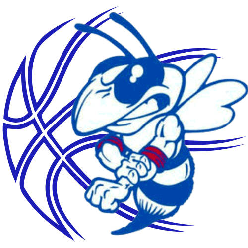 Hornet with basketball logo