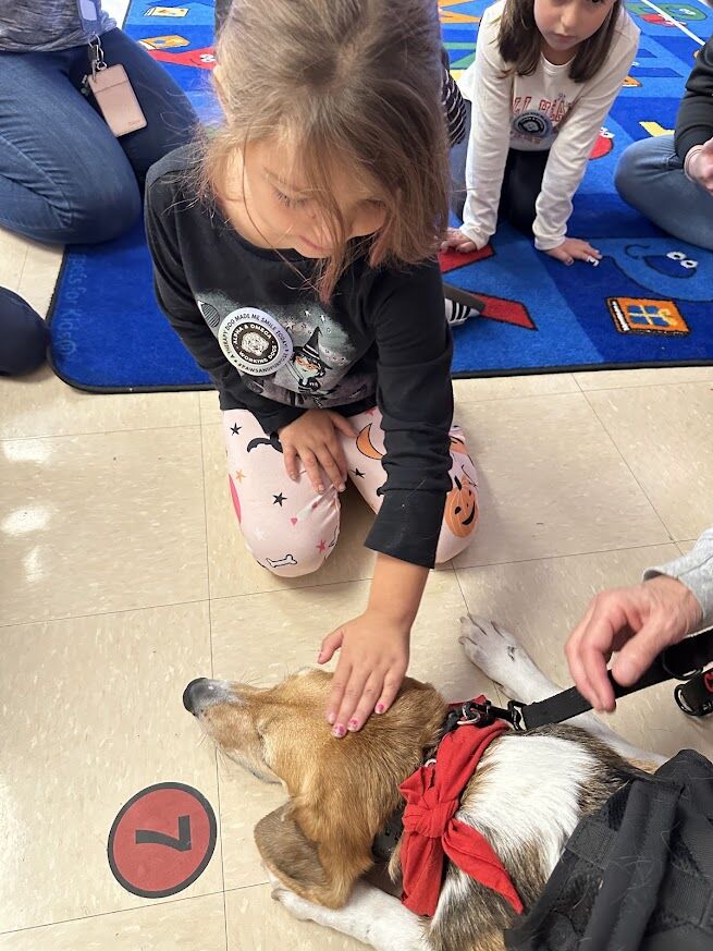 A young girl gently pets a dog lying on the floor.
