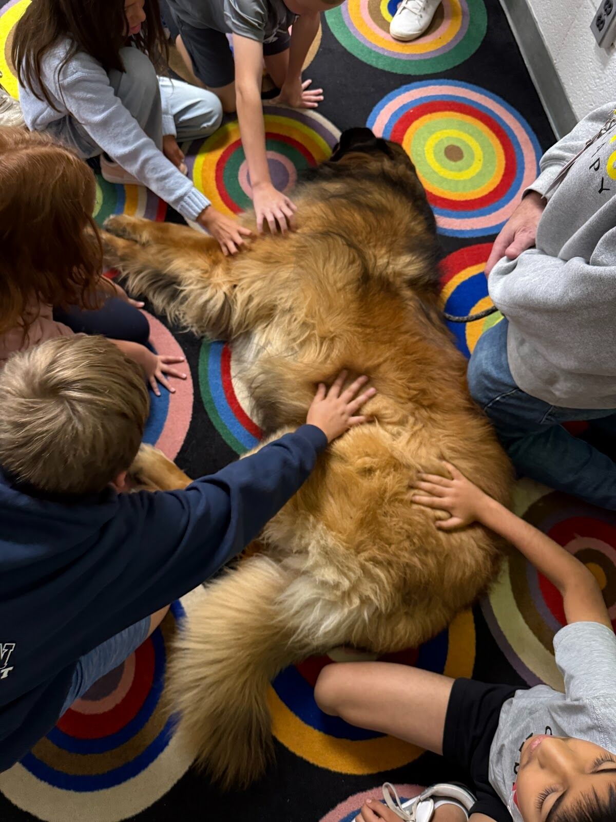 Children pet a large, fluffy dog lying on a colorful rug.