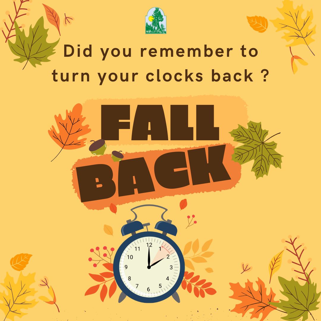 An alarm clock with autumn leaves and the words 'Fall Back'.