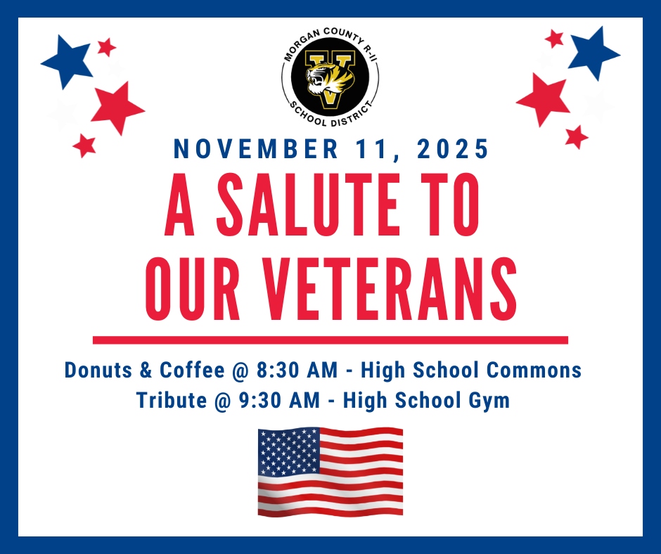 An event flyer for a Veterans Day salute, featuring the American flag and stars.