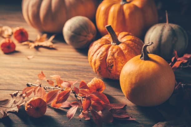 87,600+ Thanksgiving Pumpkins Stock Photos, Pictures & Royalty-Free Images  - iStock | Happy thanksgiving pumpkins