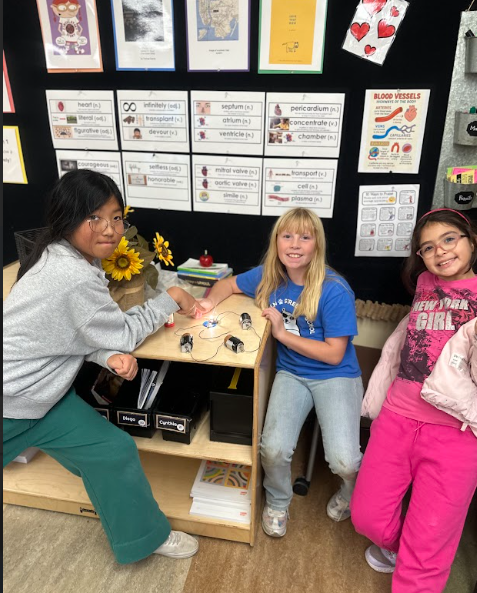 Grade 4 Circuit Unit