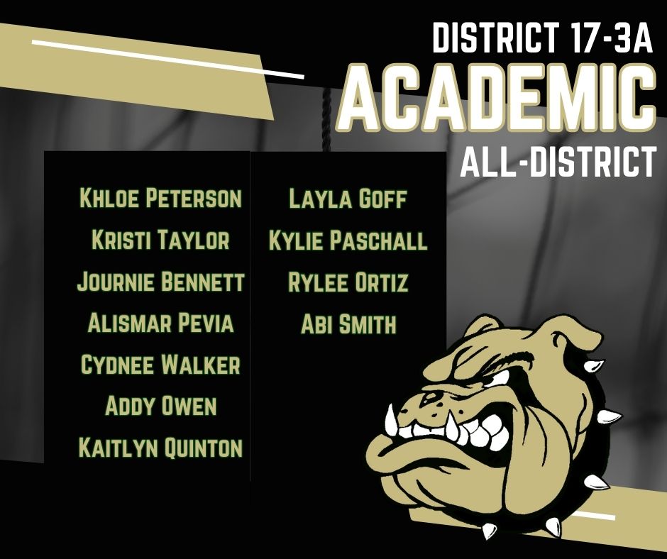 academic all-district