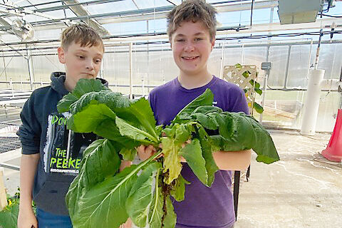 Two young people hold freshly harvested leafy greens in a greenhouse.