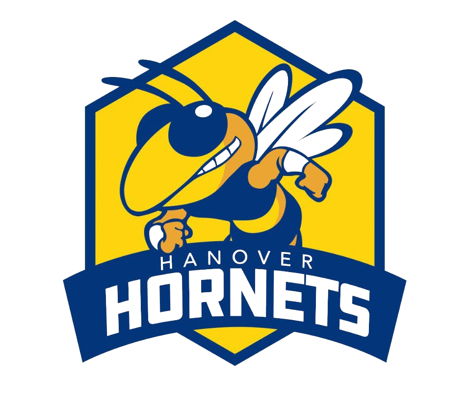 Hanover Hornets mascot logo with hornet character