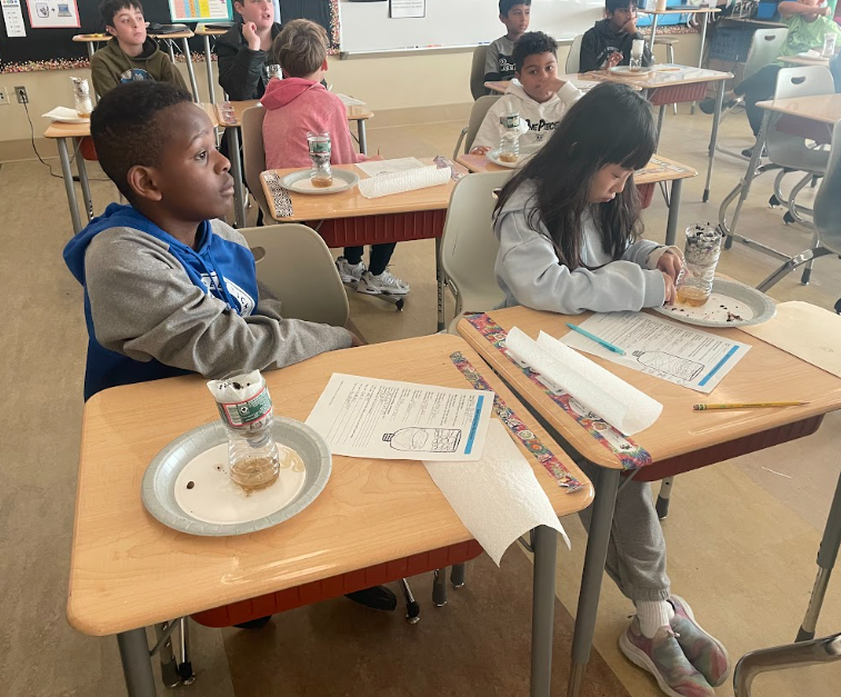 Science filtration lesson Grade 5