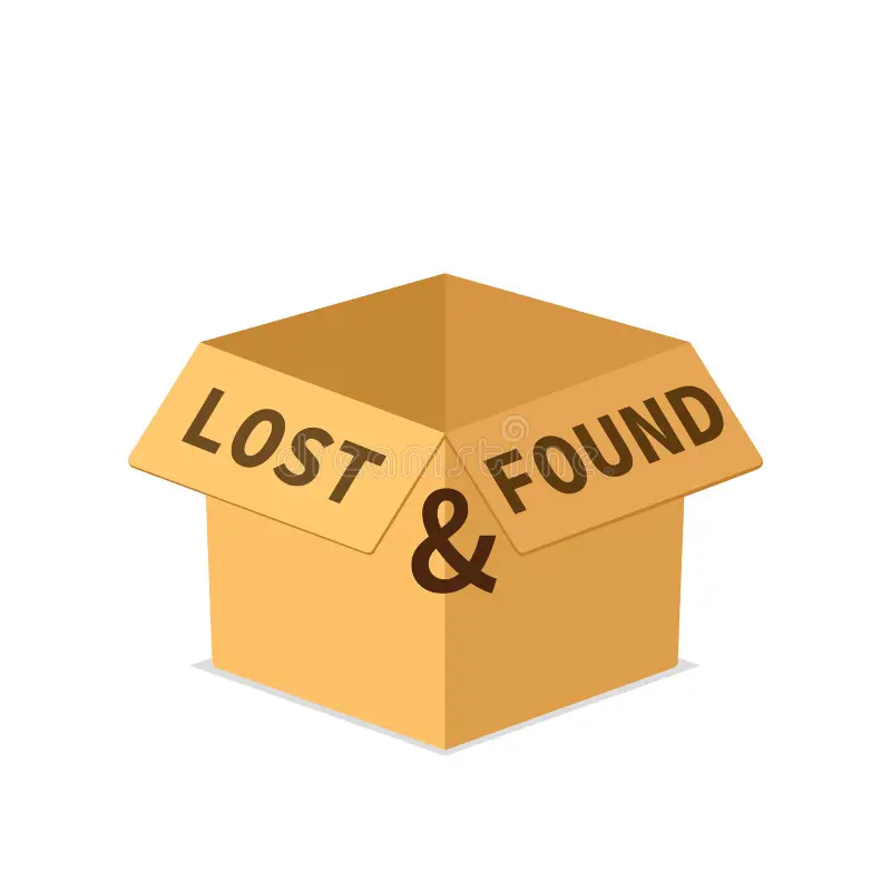 A brown cardboard box with 'LOST & FOUND' printed on its flaps.
