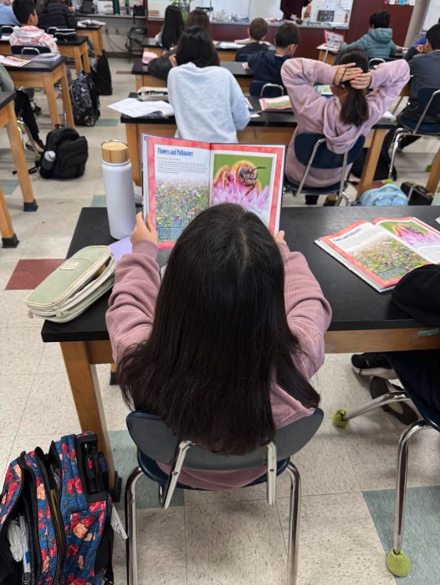Student reading book