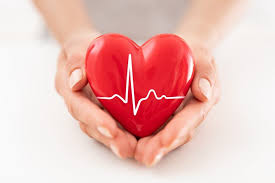 Hands gently cradle a red heart with a white electrocardiogram line.