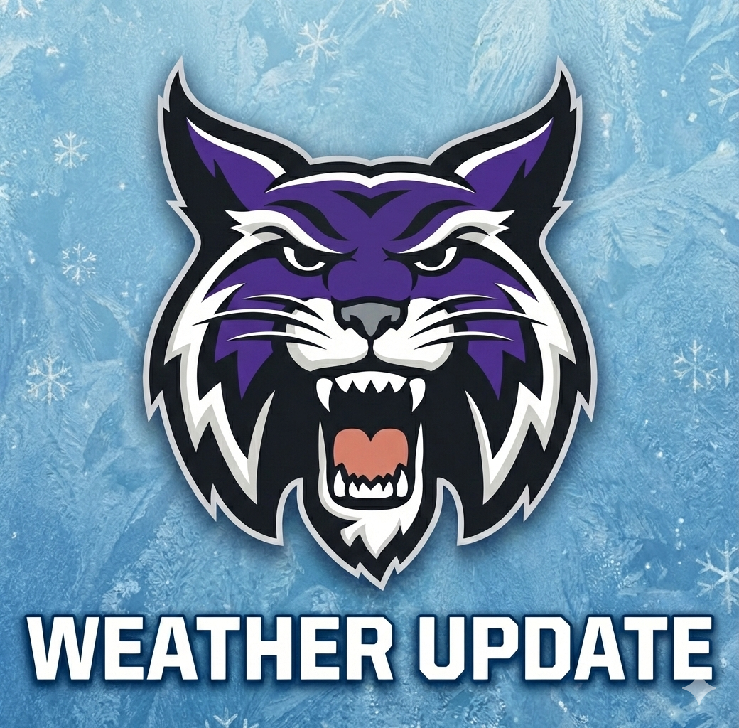 bobcat mascot with winter background.