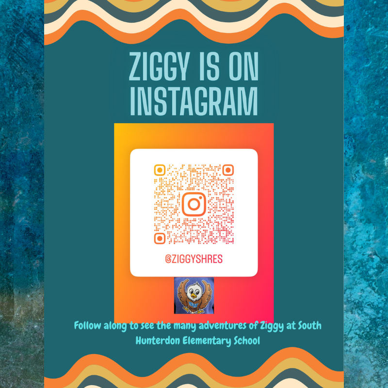 A graphic announces that Ziggy is on Instagram, featuring a QR code and the handle @ZiggyShres.