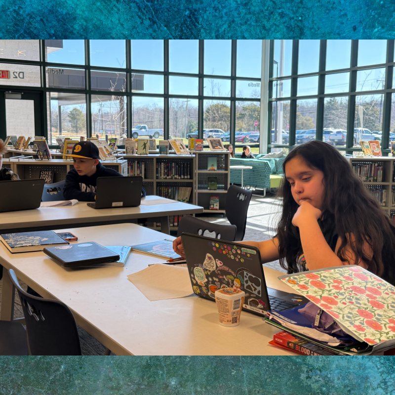 Students focus on their laptops at tables in a bright library with large windows.
