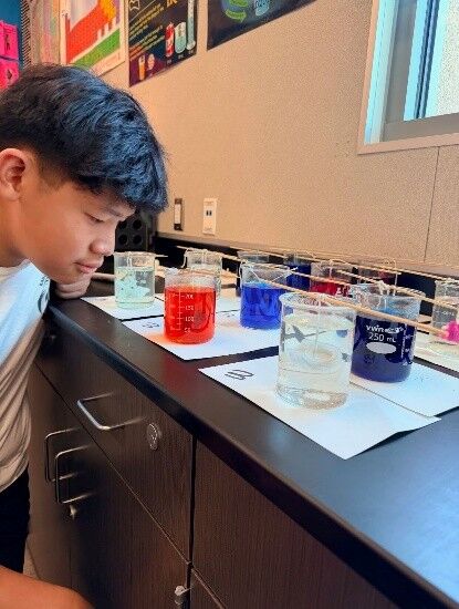 Student looking attentively at his science project.