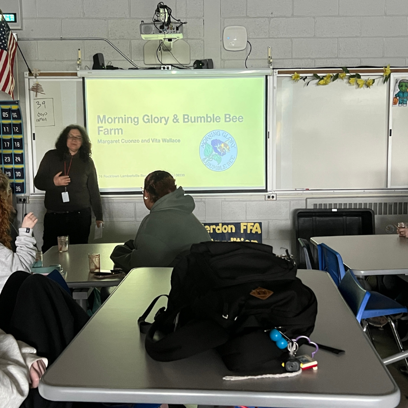 A presenter stands in front of a projector screen displaying "Morning Glory & Bumble Bee Farm" to an audience.
