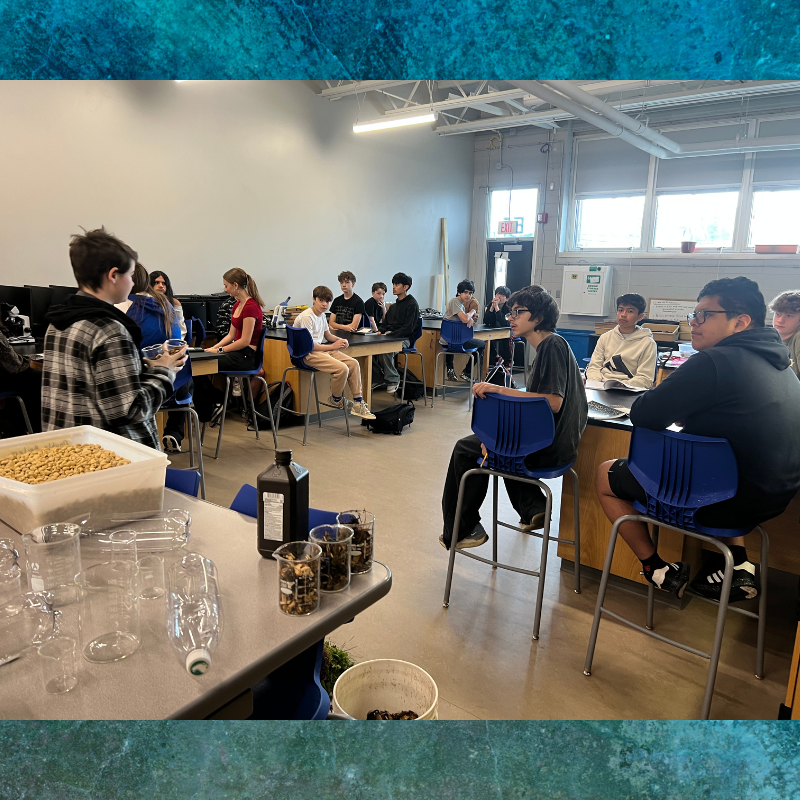 Students in a classroom setting listen attentively during a science lesson.