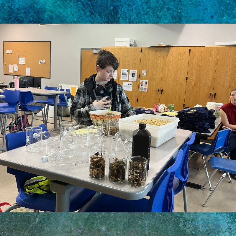 A young person in a plaid jacket works with beakers and samples on a table in a classroom.