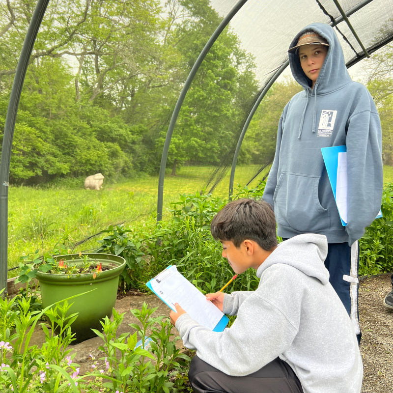Two young people are observing plants inside a greenhouse, one taking notes.