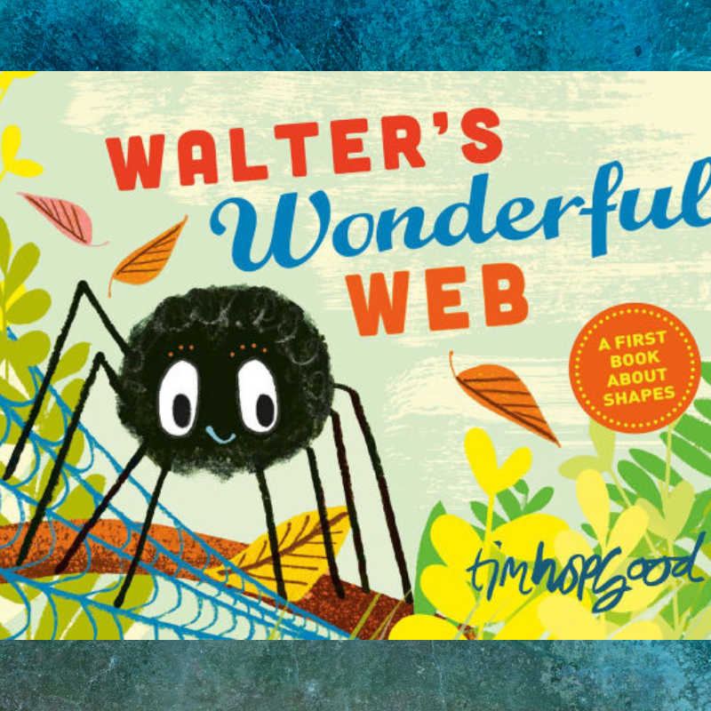 Cover of the children's book 'Walter's Wonderful Web' featuring a cartoon spider.