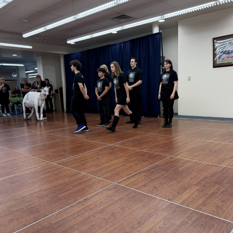 A group of young performers in black t-shirts stand on a wooden stage with a white prop animal.