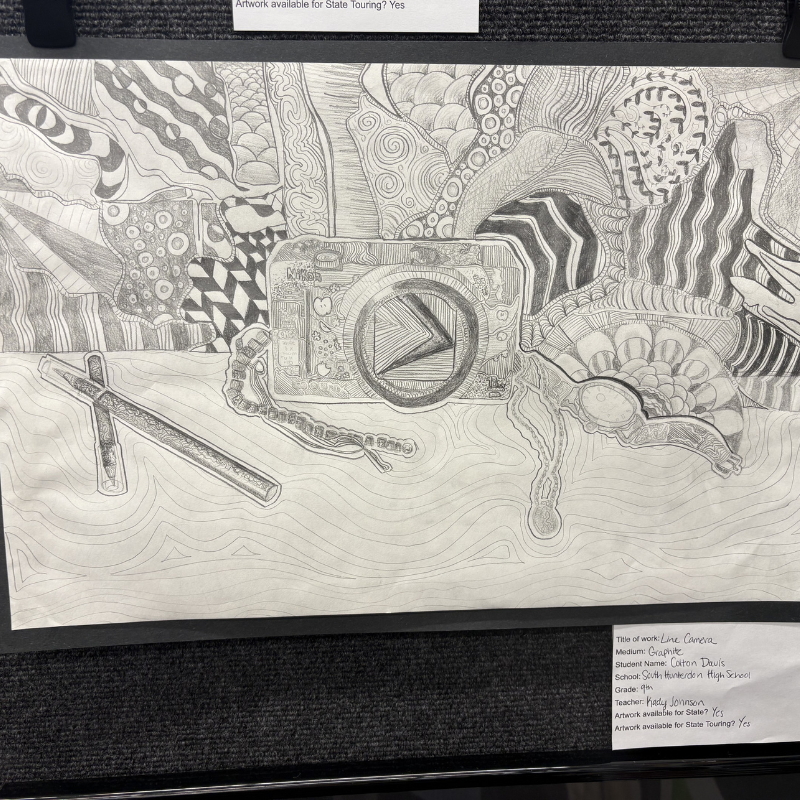 A detailed graphite drawing features a Nikon camera surrounded by intricate line patterns and organic shapes.