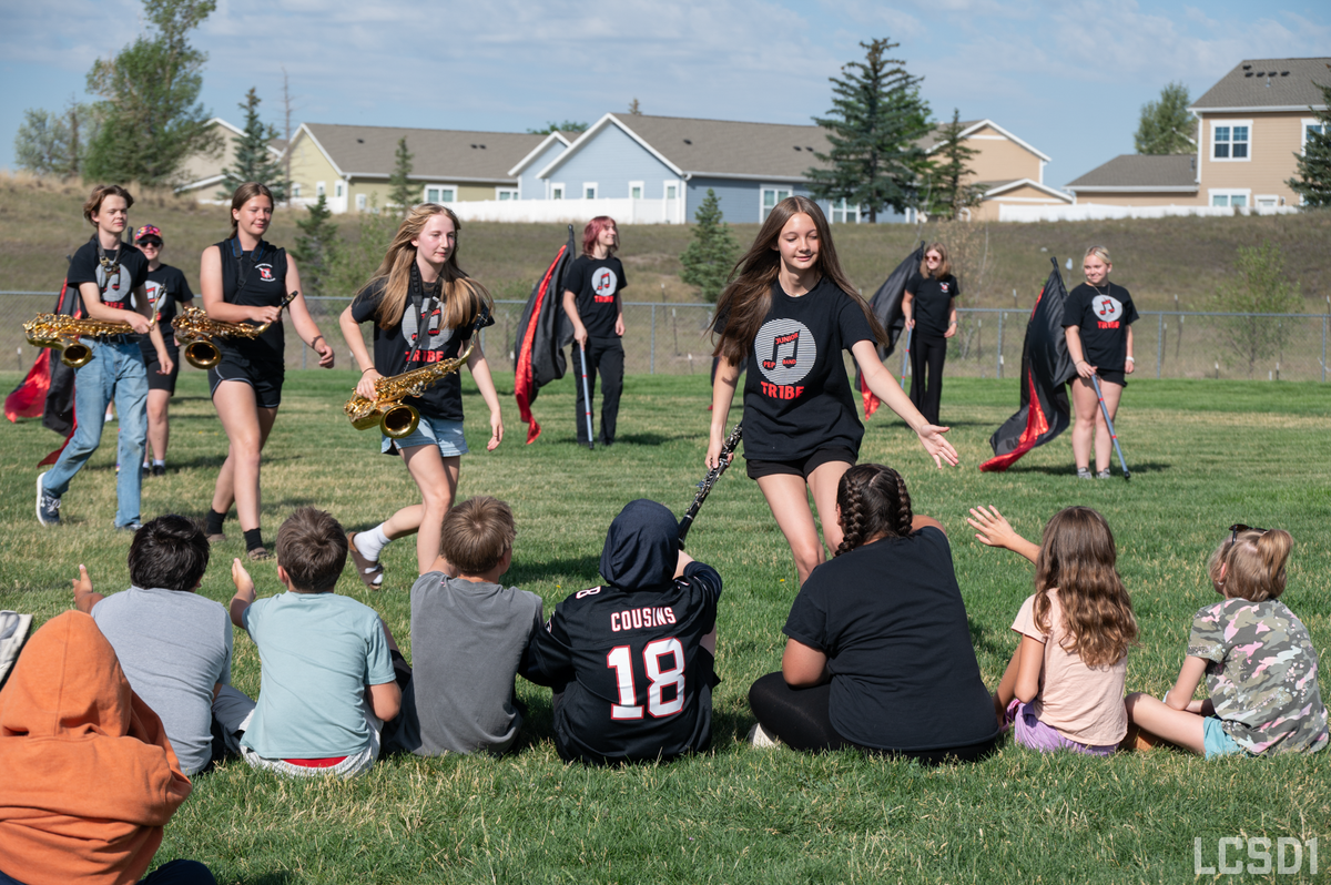 A marching band with saxophones and flags performs on a grassy field in front of houses.