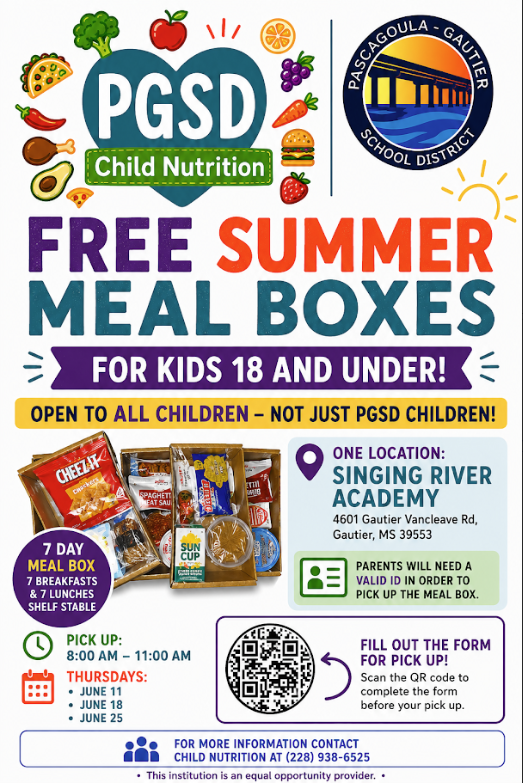 Summer Food Boxes