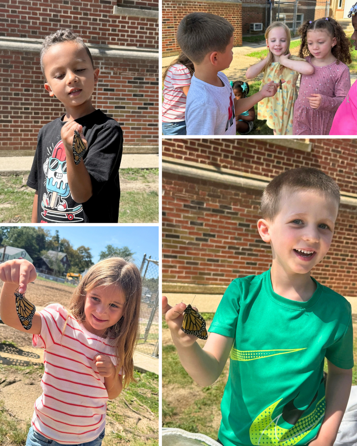 A collage shows children outdoors, excitedly interacting with monarch butterflies landing on their hands.