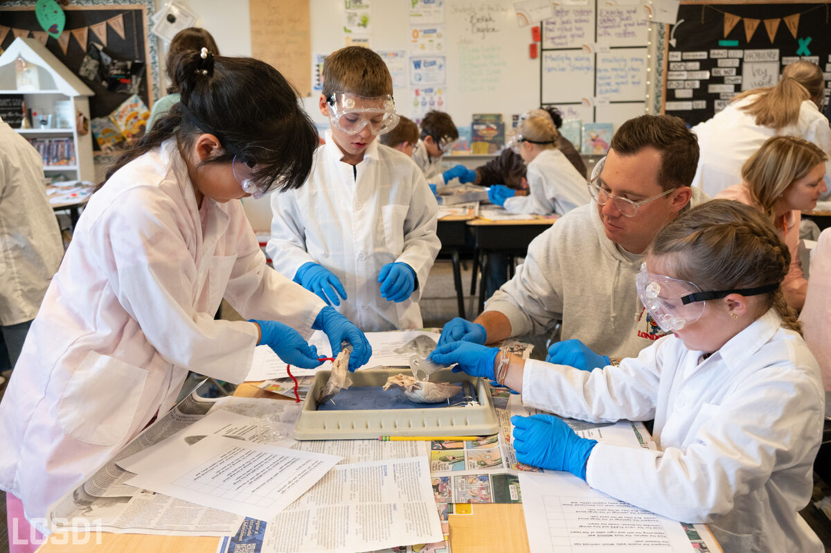 Students wearing lab coats and safety goggles examine specimens in a classroom science activity.